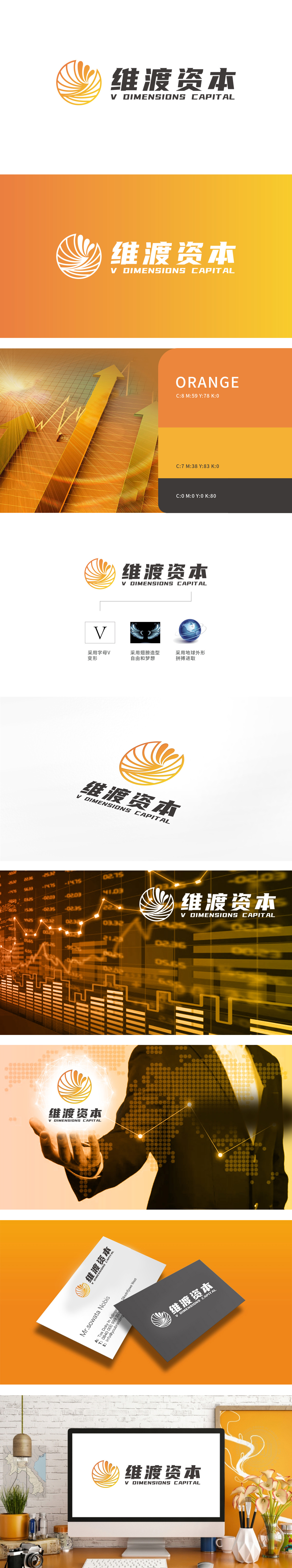 维渡资本 金融财务 LOGO设计